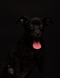 Similar image 21113057