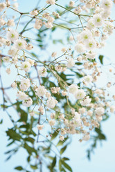 Similar image 21109972