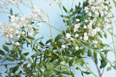 Similar image 21109974