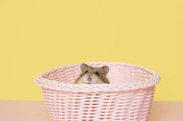 Similar image 21109978