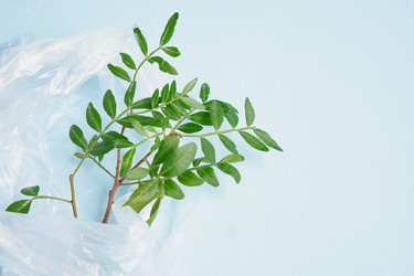 Similar image 21109989