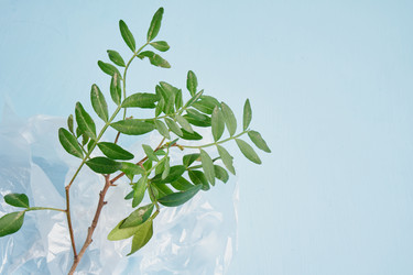 Similar image 21109991