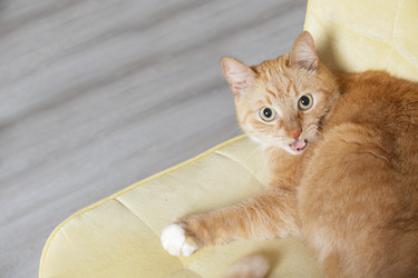 Similar image 21110526