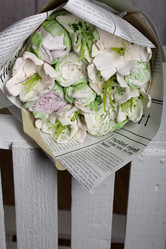 Similar image 21080917