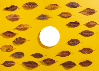 Similar image 21079631