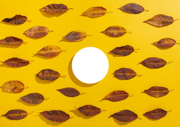 Similar image 21079632