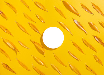 Similar image 21079634