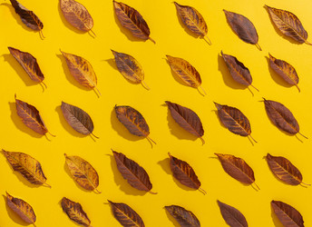 Similar image 21079635