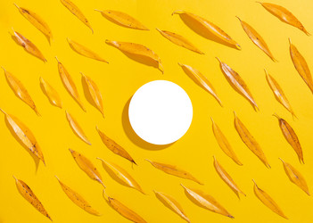 Similar image 21079637