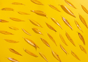 Similar image 21079638