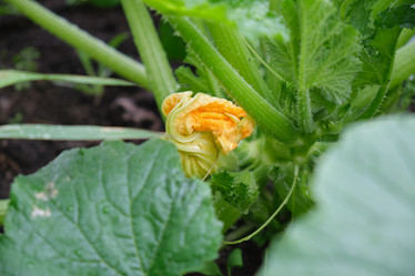 Similar image 21110881