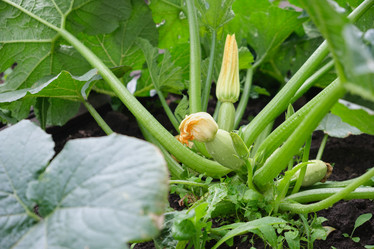 Similar image 21110883