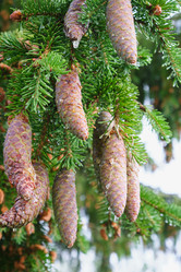 Similar image 21110886