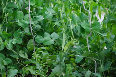 Similar image 21111561