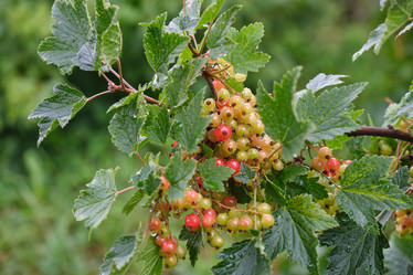 Similar image 21111563