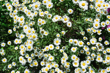 Similar image 21111580