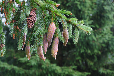 Similar image 21111581