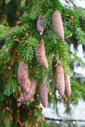 Similar image 21111657