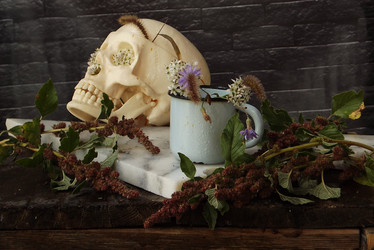 Similar image 21079583