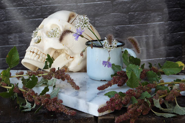 Similar image 21079584