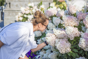 Similar image 21090701