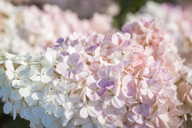 Similar image 21090703