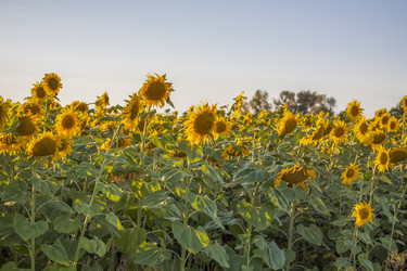 Similar image 21088360