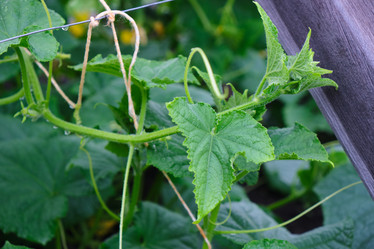 Similar image 21110005