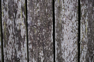 Similar image 21110007