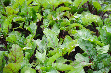 Similar image 21110011