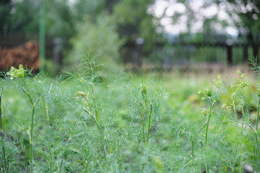 Similar image 21110016