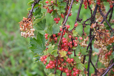 Similar image 21110018