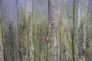 Similar image 21110024