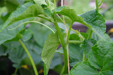 Similar image 21110028