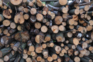 Similar image 21110030