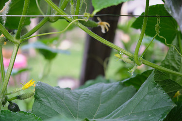 Similar image 21110032