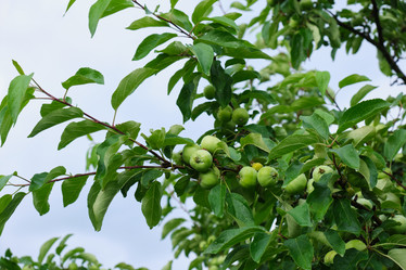 Similar image 21110036