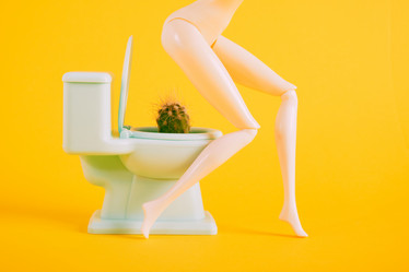 Similar image 21110037