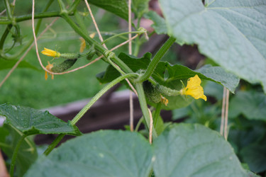 Similar image 21110038