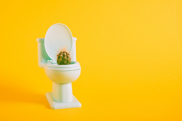 Similar image 21110039