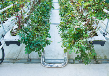 Similar image 21113146