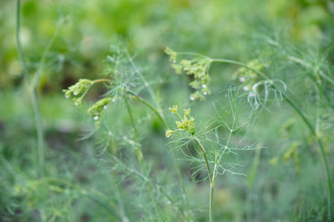 Similar image 21110905