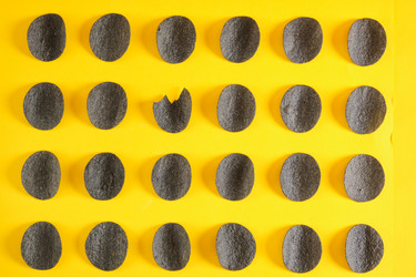 Similar image 21111597