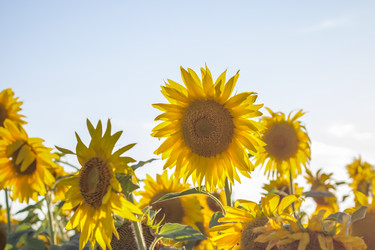 Similar image 21084310