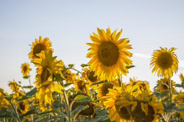 Similar image 21084314