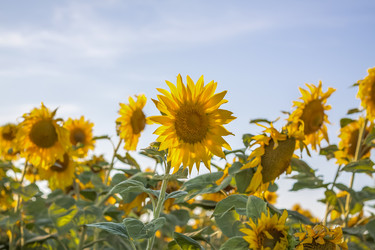 Similar image 21084324