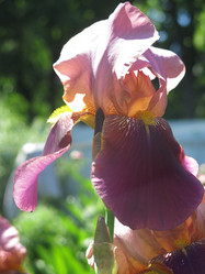 Similar image 21080940