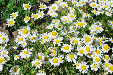 Similar image 21101768