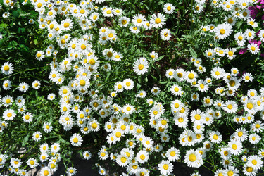 Similar image 21109719