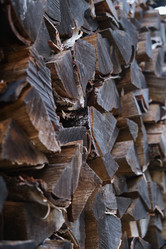 Similar image 21109720